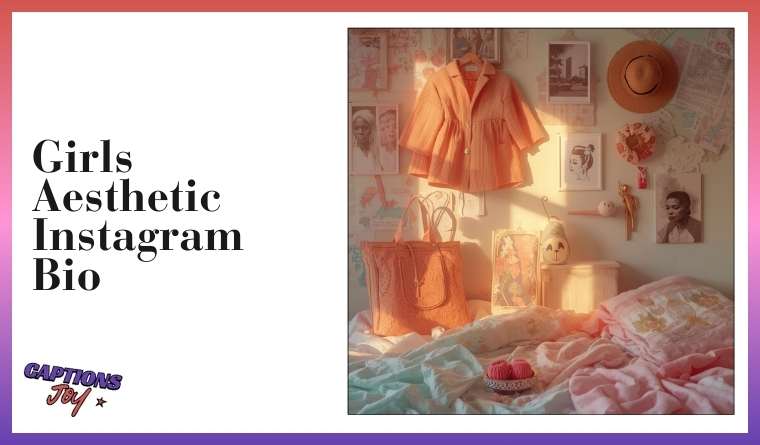 Girls Aesthetic Instagram Bio