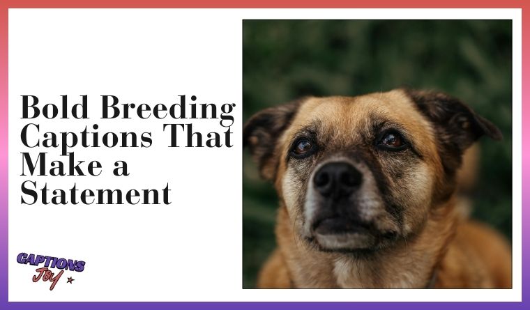 Bold Breeding Captions That Make a Statement