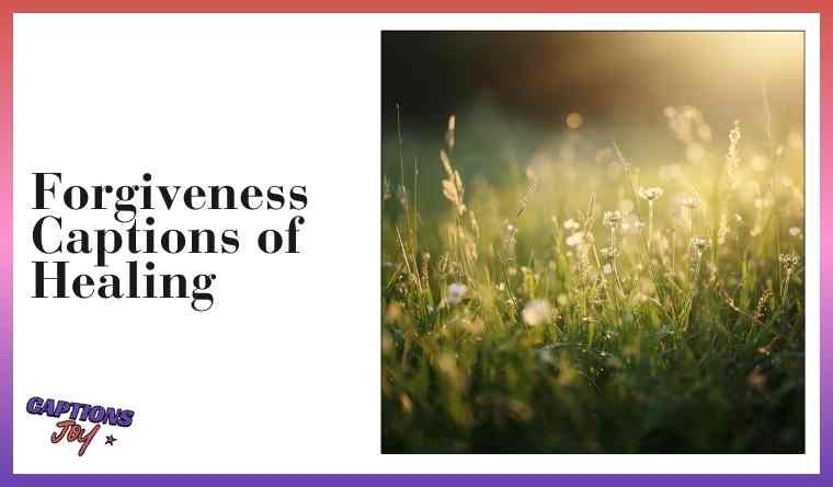Forgiveness Captions of Healing