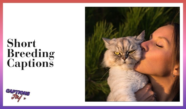 Short Breeding Captions