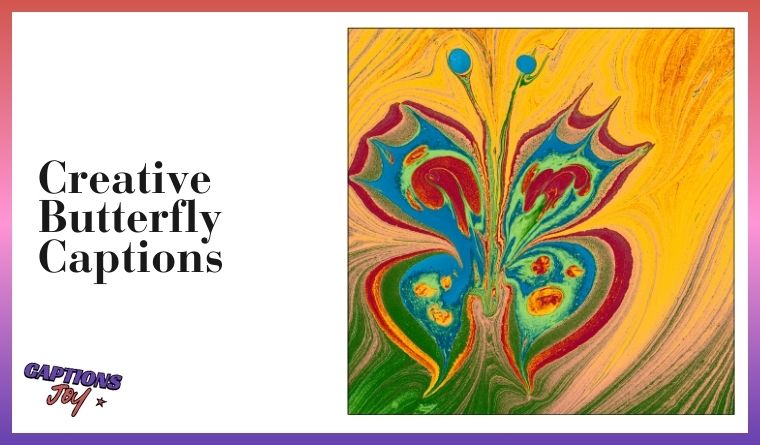Creative Butterfly Captions