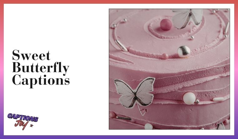 Sweet Butterfly Captions 