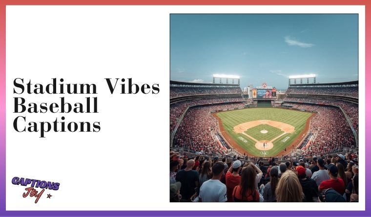Stadium Vibes Baseball Captions 